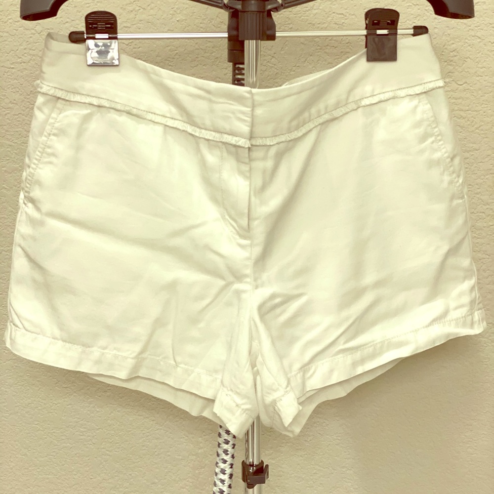 Dressy Shorts